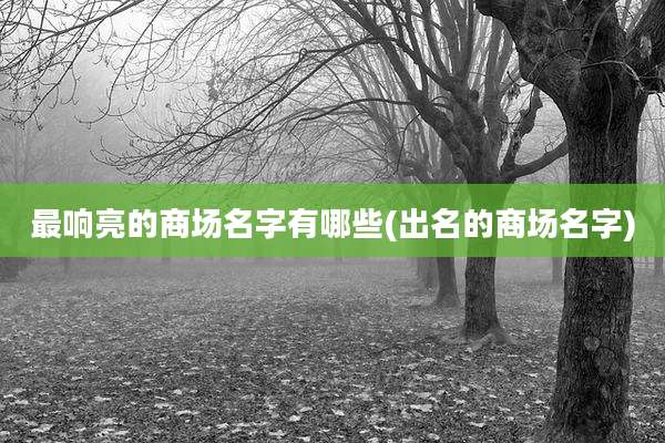 最响亮的商场名字有哪些(出名的商场名字)