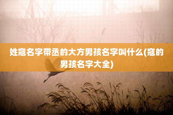 姓寇名字带丞的大方男孩名字叫什么(寇的男孩名字大全)