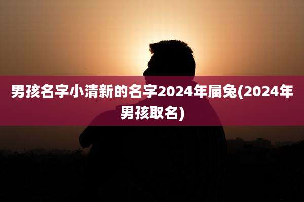 男孩名字小清新的名字2024年属兔(2024年男孩取名)