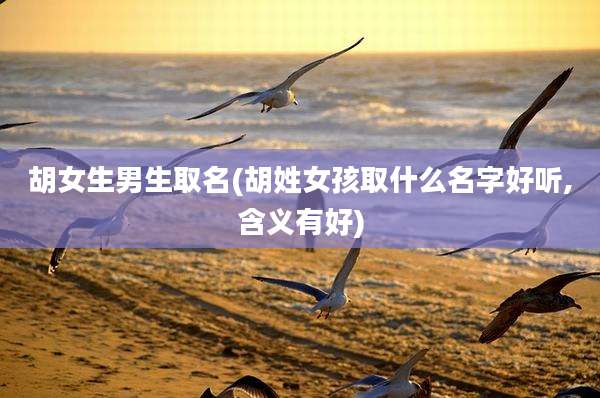 胡女生男生取名(胡姓女孩取什么名字好听,含义有好)