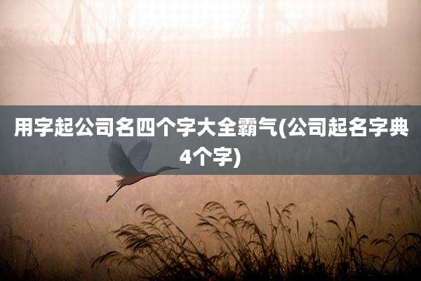 用字起公司名四个字大全霸气(公司起名字典4个字)