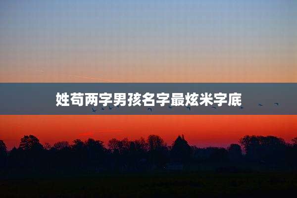 姓苟两字男孩名字最炫米字底