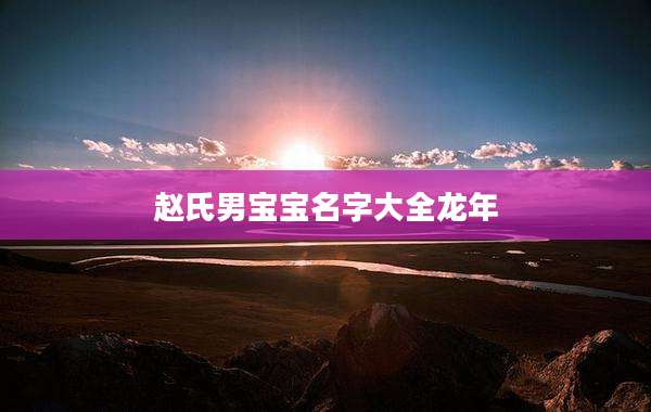 赵氏男宝宝名字大全龙年