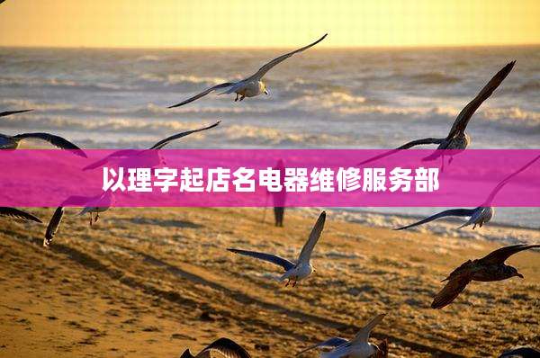 以理字起店名电器维修服务部