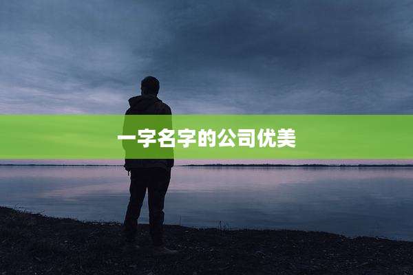 一字名字的公司优美