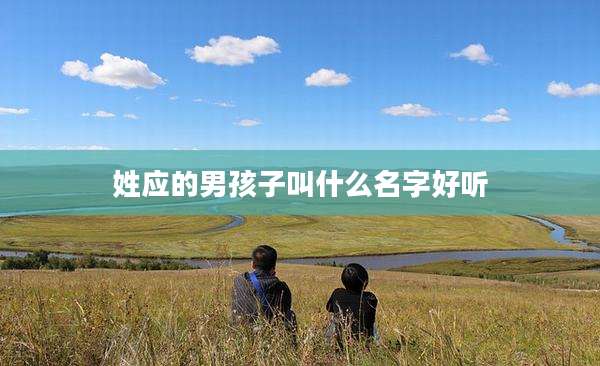 姓应的男孩子叫什么名字好听