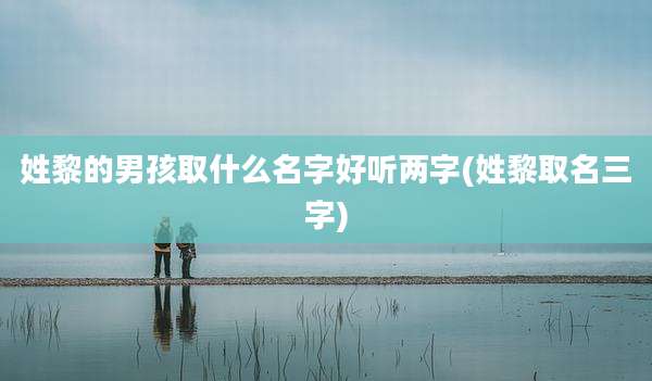 姓黎的男孩取什么名字好听两字(姓黎取名三字)