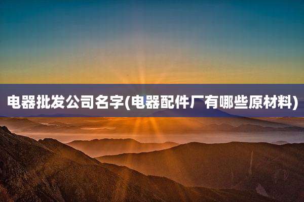 电器批发公司名字(电器配件厂有哪些原材料)