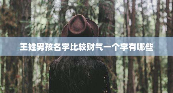 王姓男孩名字比较财气一个字有哪些