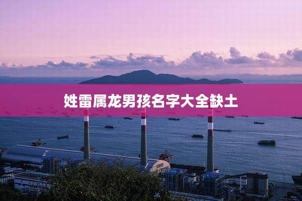 姓雷属龙男孩名字大全缺土