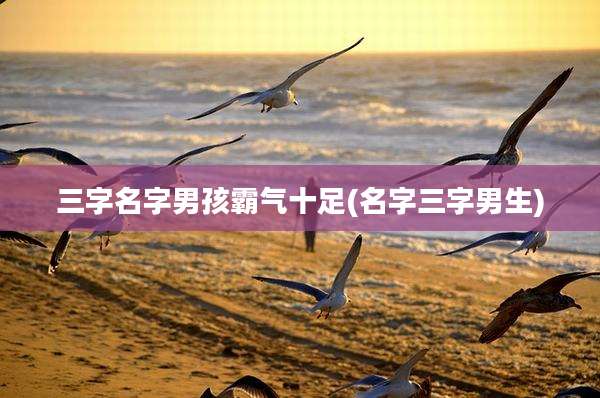 三字名字男孩霸气十足(名字三字男生)