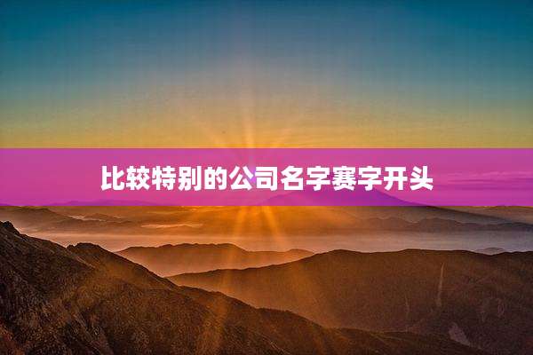 比较特别的公司名字赛字开头