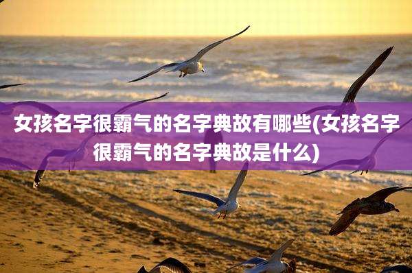 女孩名字很霸气的名字典故有哪些(女孩名字很霸气的名字典故是什么)