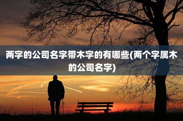 两字的公司名字带木字的有哪些(两个字属木的公司名字)