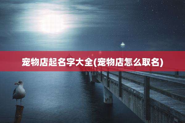 宠物店起名字大全(宠物店怎么取名)