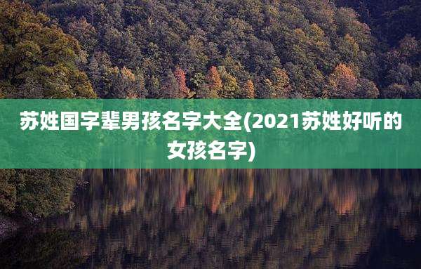 苏姓国字辈男孩名字大全(2021苏姓好听的女孩名字)