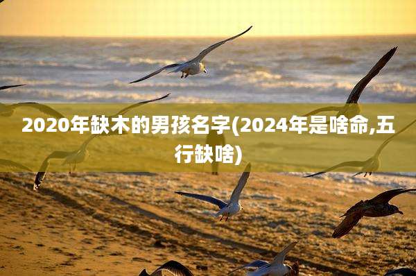 2020年缺木的男孩名字(2024年是啥命,五行缺啥)
