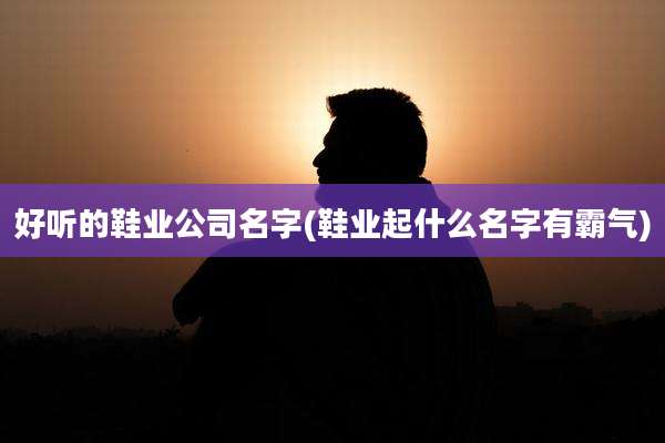 好听的鞋业公司名字(鞋业起什么名字有霸气)