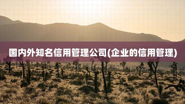 国内外知名信用管理公司(企业的信用管理)