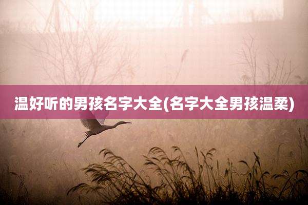 温好听的男孩名字大全(名字大全男孩温柔)