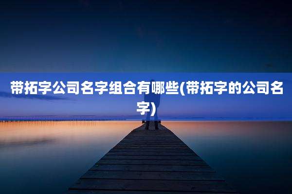 带拓字公司名字组合有哪些(带拓字的公司名字)