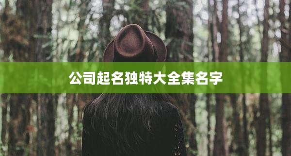 公司起名独特大全集名字