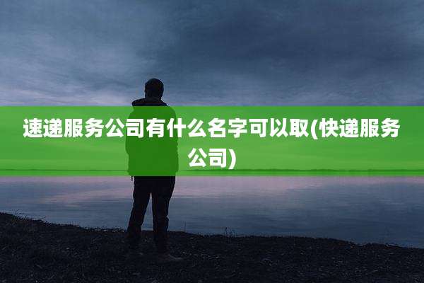 速递服务公司有什么名字可以取(快递服务公司)