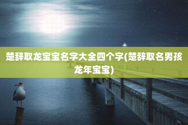 楚辞取龙宝宝名字大全四个字(楚辞取名男孩龙年宝宝)
