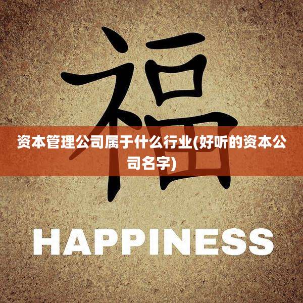 资本管理公司属于什么行业(好听的资本公司名字)