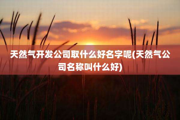天然气开发公司取什么好名字呢(天然气公司名称叫什么好)