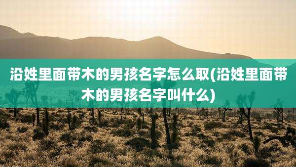 沿姓里面带木的男孩名字怎么取(沿姓里面带木的男孩名字叫什么)