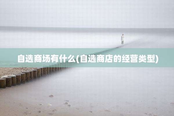自选商场有什么(自选商店的经营类型)