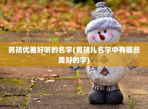 男孩优雅好听的名字(男孩儿名字中有哪些美好的字)