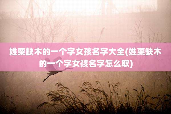 姓粟缺木的一个字女孩名字大全(姓粟缺木的一个字女孩名字怎么取)