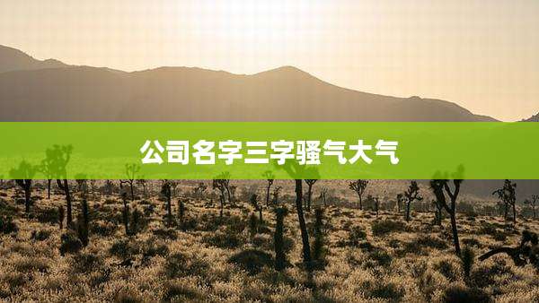 公司名字三字骚气大气