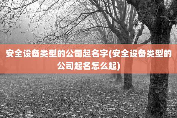 安全设备类型的公司起名字(安全设备类型的公司起名怎么起)