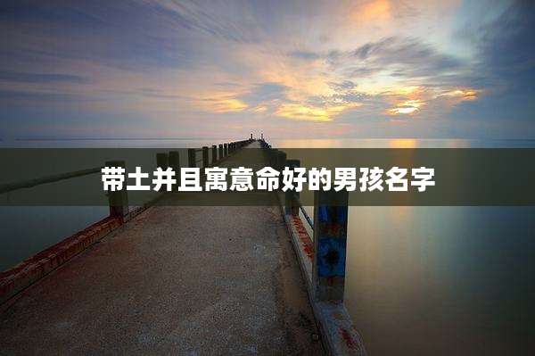带土并且寓意命好的男孩名字