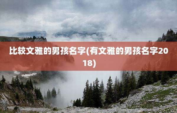 比较文雅的男孩名字(有文雅的男孩名字2018)