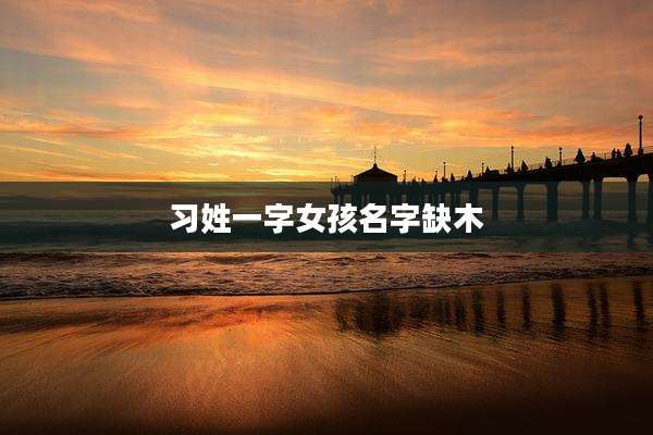 习姓一字女孩名字缺木
