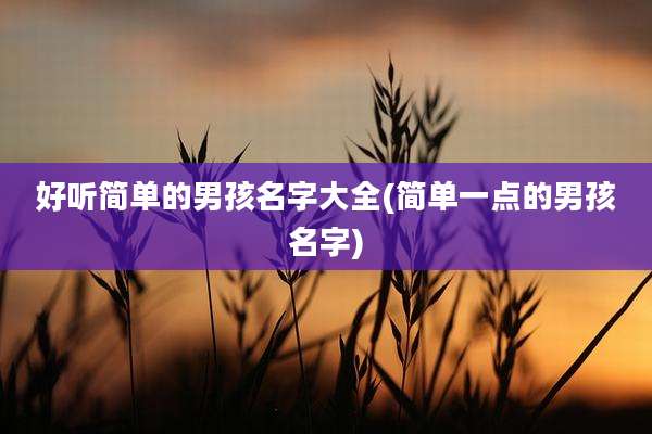 好听简单的男孩名字大全(简单一点的男孩名字)