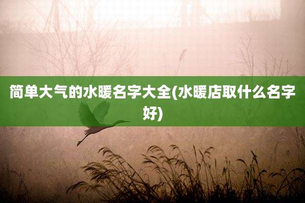 简单大气的水暖名字大全(水暖店取什么名字好)