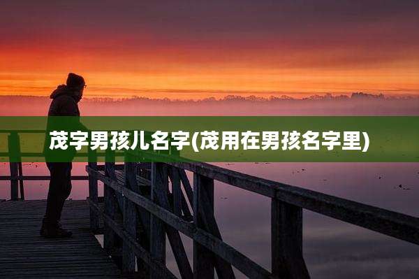茂字男孩儿名字(茂用在男孩名字里)