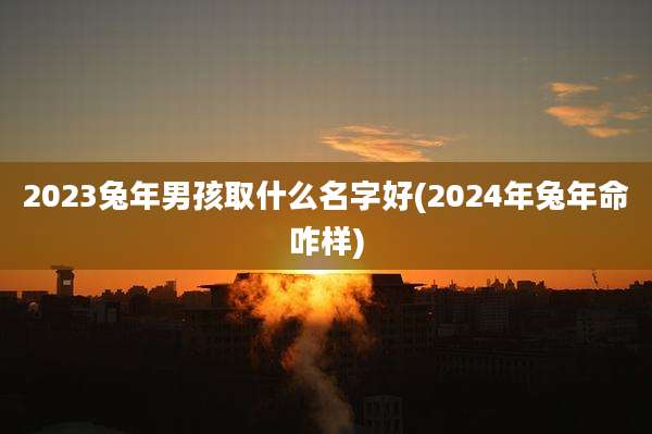 2023兔年男孩取什么名字好(2024年兔年命咋样)