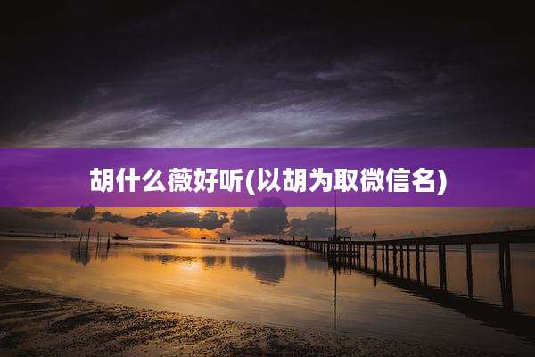 胡什么薇好听(以胡为取微信名)