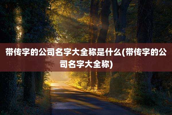 带传字的公司名字大全称是什么(带传字的公司名字大全称)