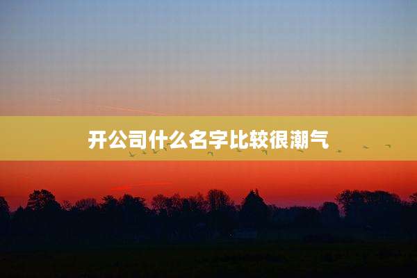 开公司什么名字比较很潮气