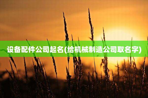 设备配件公司起名(给机械制造公司取名字)