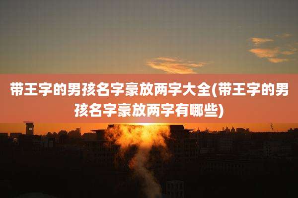 带王字的男孩名字豪放两字大全(带王字的男孩名字豪放两字有哪些)