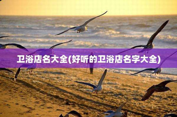 卫浴店名大全(好听的卫浴店名字大全)