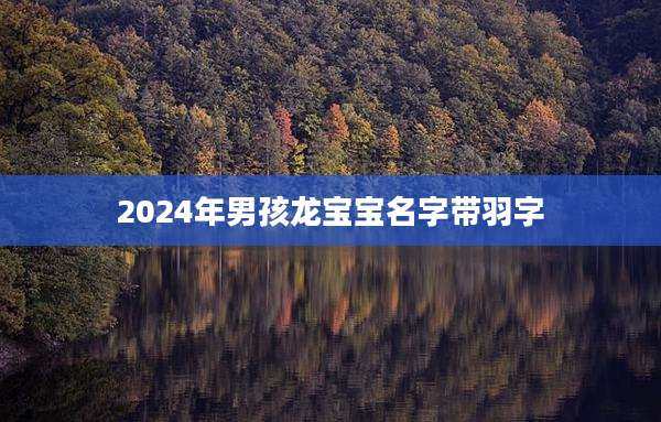 2024年男孩龙宝宝名字带羽字